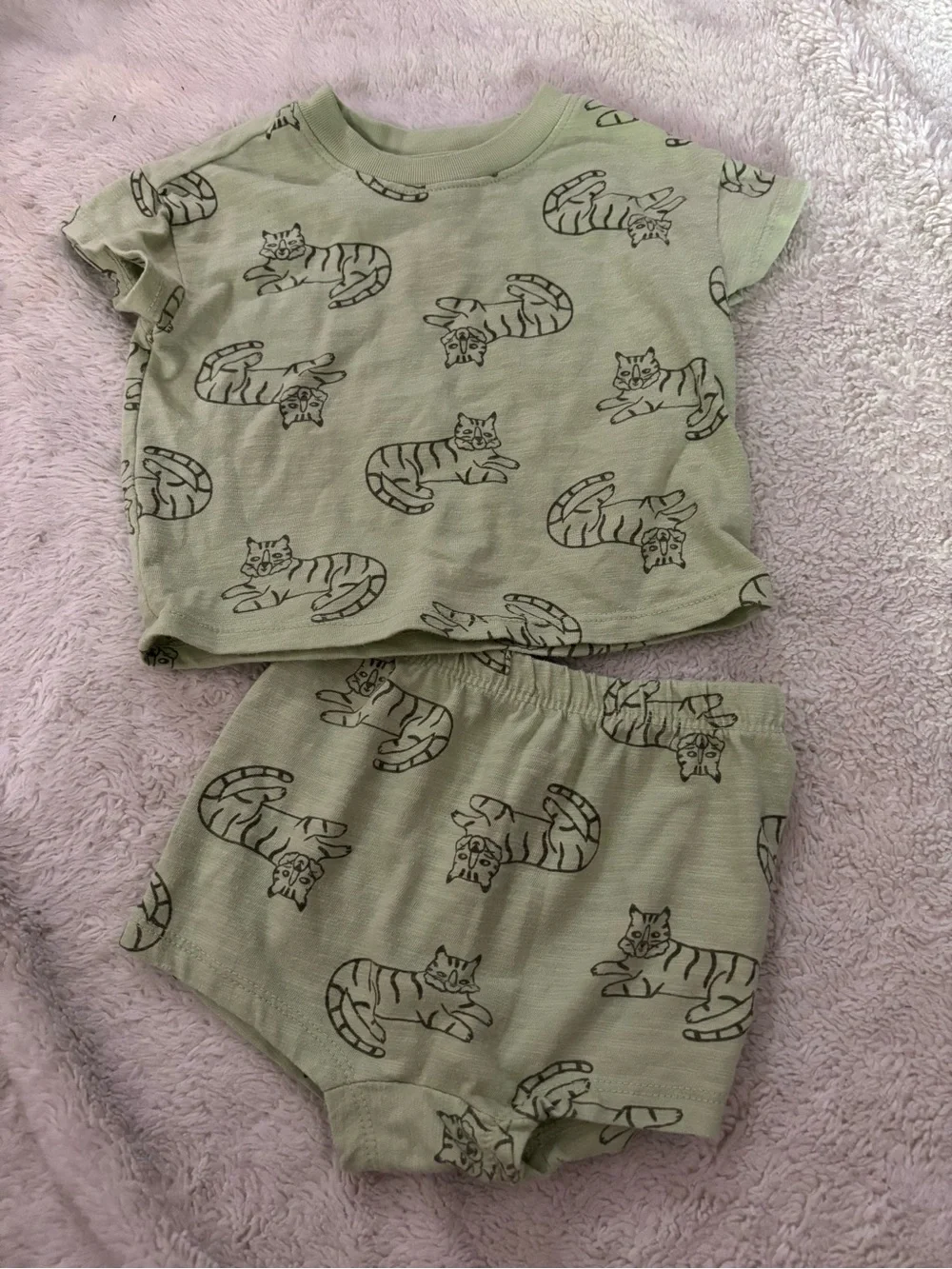 Cat & Jack Light Green Tiger Print Pajama Set